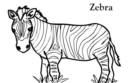 zebra outline clipart