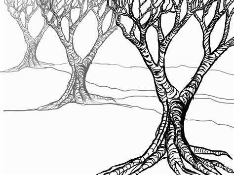 tree roots drawing  getdrawings