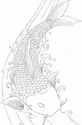 Koi Fish Coloring Pages Printable Drawing Drawings Dragon Japanese Colouring Outline Carp Sheet Element Tattoo Sheets Japanische Books Fisch Deviantart sketch template
