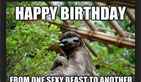 sloth happy birthday meme birthday memes  friend wishesgreeting
