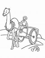 Coloring Cartwheel Cart Camel Template sketch template