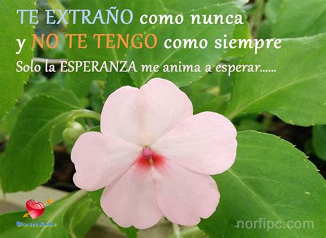 fotos de amor  mi novio  esta lejos imagenes de