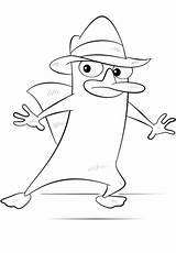 Platypus Perry Getdrawings Drawing Coloring Pages sketch template