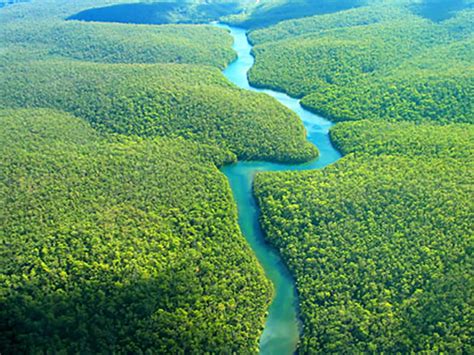 dato curioso  el rio amazonas el mas largo  caudaloso del mundo biblioteca de