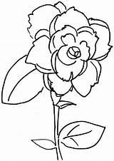 Rose Coloring Flower Pages Bud Drawing Color Getdrawings Roses Unique Kids sketch template