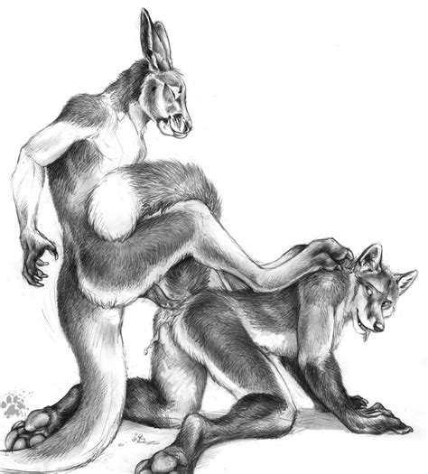 Rule 34 Anal Anal Sex Anatomically Correct Penis Anthro