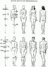 Proportions Anatomy Loomis Drawinghowtodraw Male Tutorial Step Dibujos пропорции тела Sketching Anatomie Anatomia Cuerpos Tekenen Choi sketch template