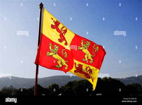 red  yellow lion rampant heraldic flag stock photo alamy