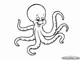 Octopus Polipo sketch template
