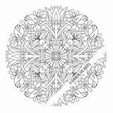 Adult Coloring sketch template