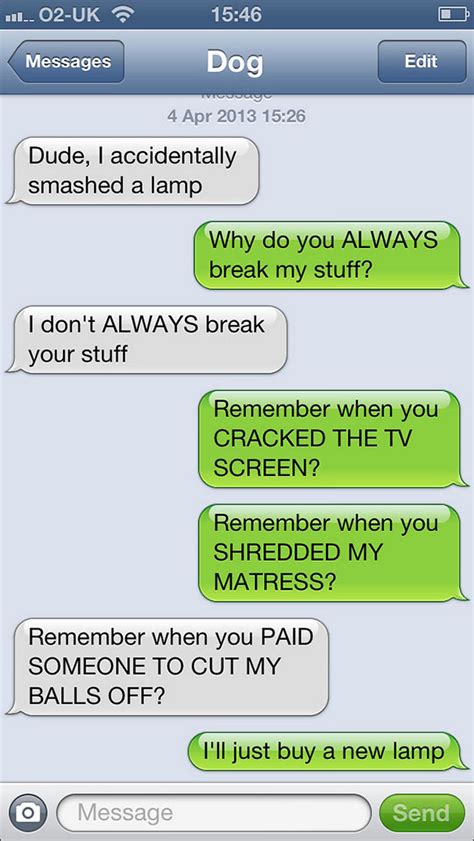 hilarious text messages youd   dogs  text