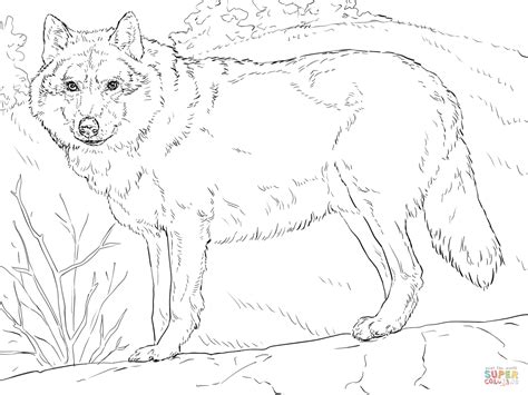 grey wolf coloring page  printable coloring pages