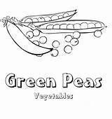 Peas Coloring Pages Green Vegetable Template Girls sketch template