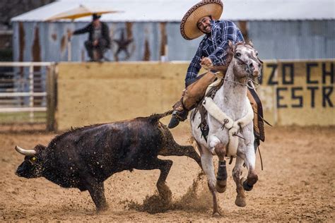 mexican style rodeos  unincorporated dallas    deadly ride