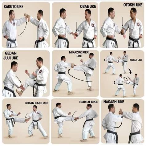 pin de 𝙰𝚕𝚝 𝙹𝚘𝚛𝚍𝚊𝚗 em martial arts treino de artes marciais karate