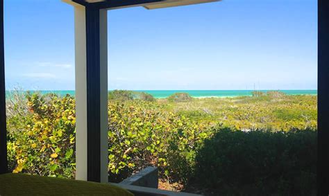 escape   dreamy airbnb eco retreat   pristine yucatan reserve inhabitat green