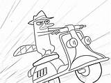 Perry Platypus Coloring Pages Ferb Phineas Kids Print Printable Scooter Color Colouring Vespa Riding Driving Cartoon Clipart Disney Coloringpagesfortoddlers Realistic sketch template