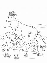 Coloring Goat Pages Tahr Nilgiri Wild Printable Animal Kids Whippet Color Goats Animals Sheet Print Preschool Bestcoloringpagesforkids Sheets Baby Drawing sketch template