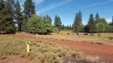 weyerhaeuser camp  historical marker