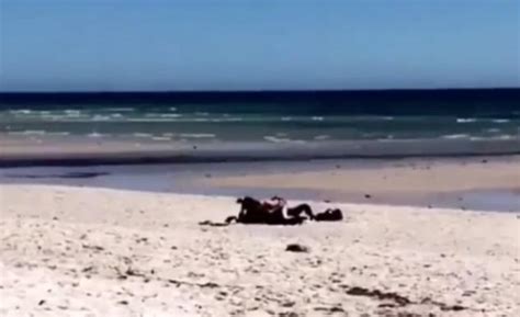shocking video shows couple having sex at adelaide beach daily mail online
