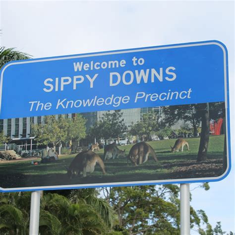 sippy downs sunshine coast property group