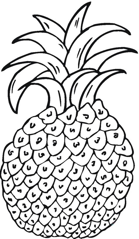 pineapple coloring pages    print