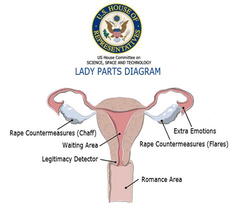 this must be the official handout of the gop lady parts