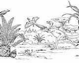 Dinosaur Coelophysis sketch template