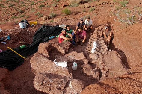 dinosaur discovered  argentina   largest   daily sabah