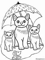 Poezen Tekeningen Visit Coloring Cat sketch template
