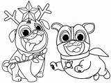 Pals Bingo Rolly Colorir Contento Coloringpagesfortoddlers Cachorros Cachorro Páginas Pug sketch template