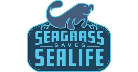 sea shoreline launches seagrass saves sea life campaign crusade