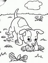 Coloring Pages Puppy Easy Preschoolers Print sketch template