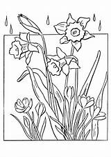 Pages Spring Coloring Flowers Online Coloringpagesonly Color sketch template