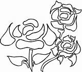 Coloring Roses Pages Flowers Adults Hot sketch template