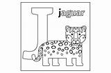 Jaguar Thehungryjpeg Cmgamm sketch template