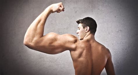 foolproof   achieve bigger arms train