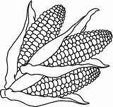 Coloring Corn Vegetables Pages Part Crafts sketch template
