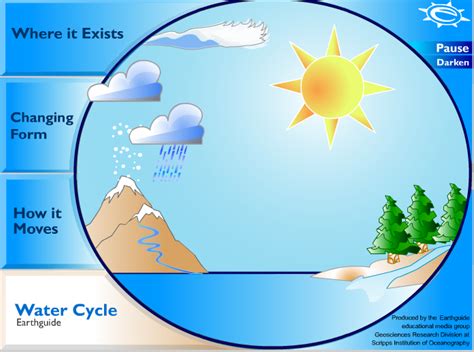 water cycle content area literacy