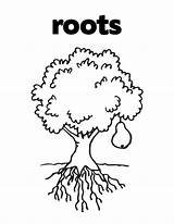 Coloring Plant Pages Parts Clipart Tree Planting Plants Label Roots Colouring Library Printable Popular Comments sketch template