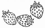 Coloring Strawberries Fruits sketch template