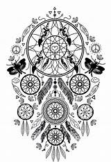 Catcher Dreamcatcher Attrape Reve Sogni Complexe Adulti Acchiappasogni Cacciatore Plumes Papillons Erwachsene Dreamcatchers Justcolor Incredible Catchers Adultos Campagna Rêves Traumfanger sketch template