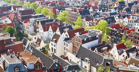 dutch cities info links  expats students tourists