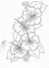 Blumenranken Malvorlagen Ranken Malen sketch template