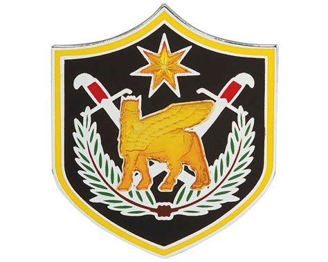 army element multi national force iraq csib