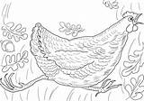 Henny Penny Sky Falling Coloring Screaming Pages Printable Supercoloring Categories sketch template