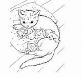Coloring Pages Baby Cat Cute Animal Cats Print Adorable Ages Coloringhome Comments Oleh Diposting Admin Di sketch template