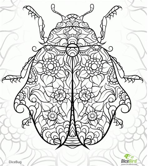 cute ladybug coloring pages   print
