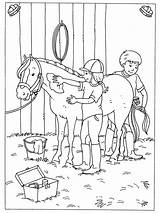 Kleurplaten Kleurplaat Coloriage Paard Paarden Equitation Veulen Springen Boerderij Dressuur Horses Poney Dieren sketch template