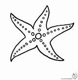 Stella Marini Stampare Disegnidacolorareonline Disegnare Pesci Costumi Starfish Articolo sketch template